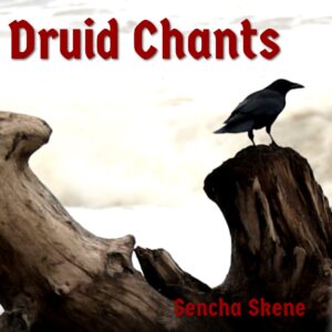 Druid Chants by Sencha Skene