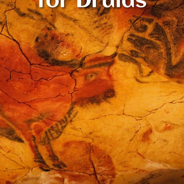 Animal Wisdom for Druids